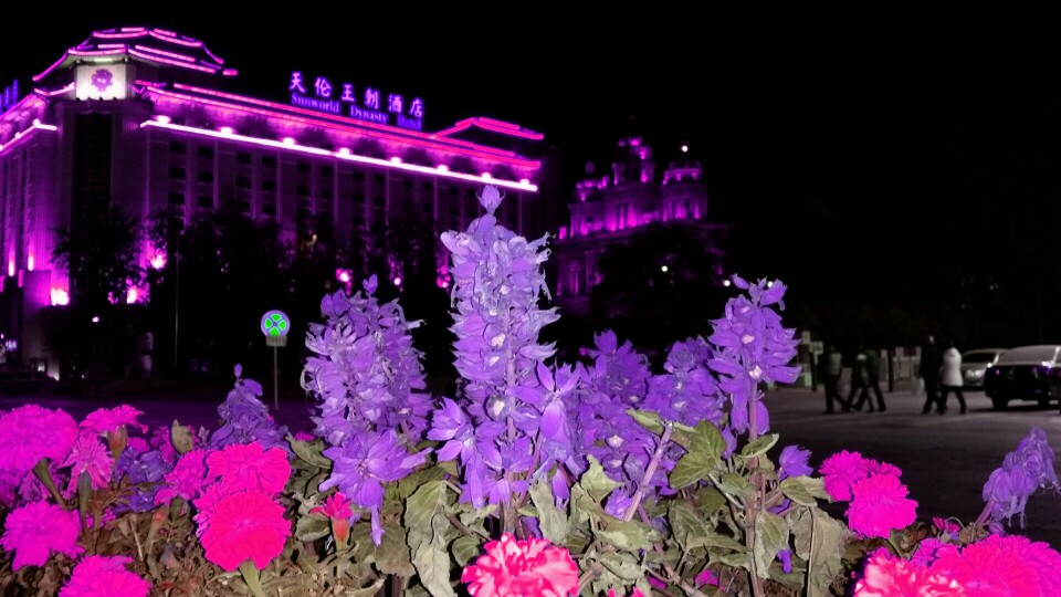 天倫王朝酒店合作依蘭職業裝